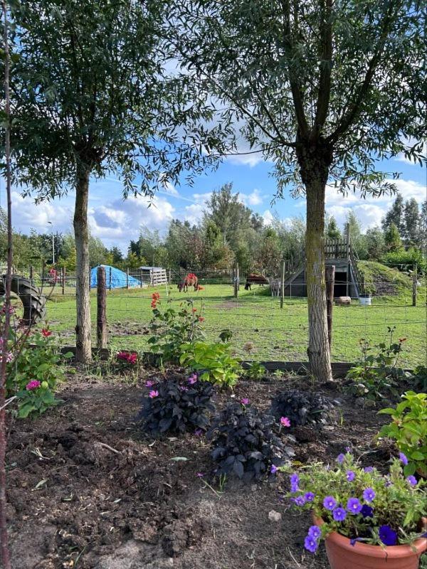 Bed En Brochje De Oase Bed & Breakfast Sweagerbosk ภายนอก รูปภาพ