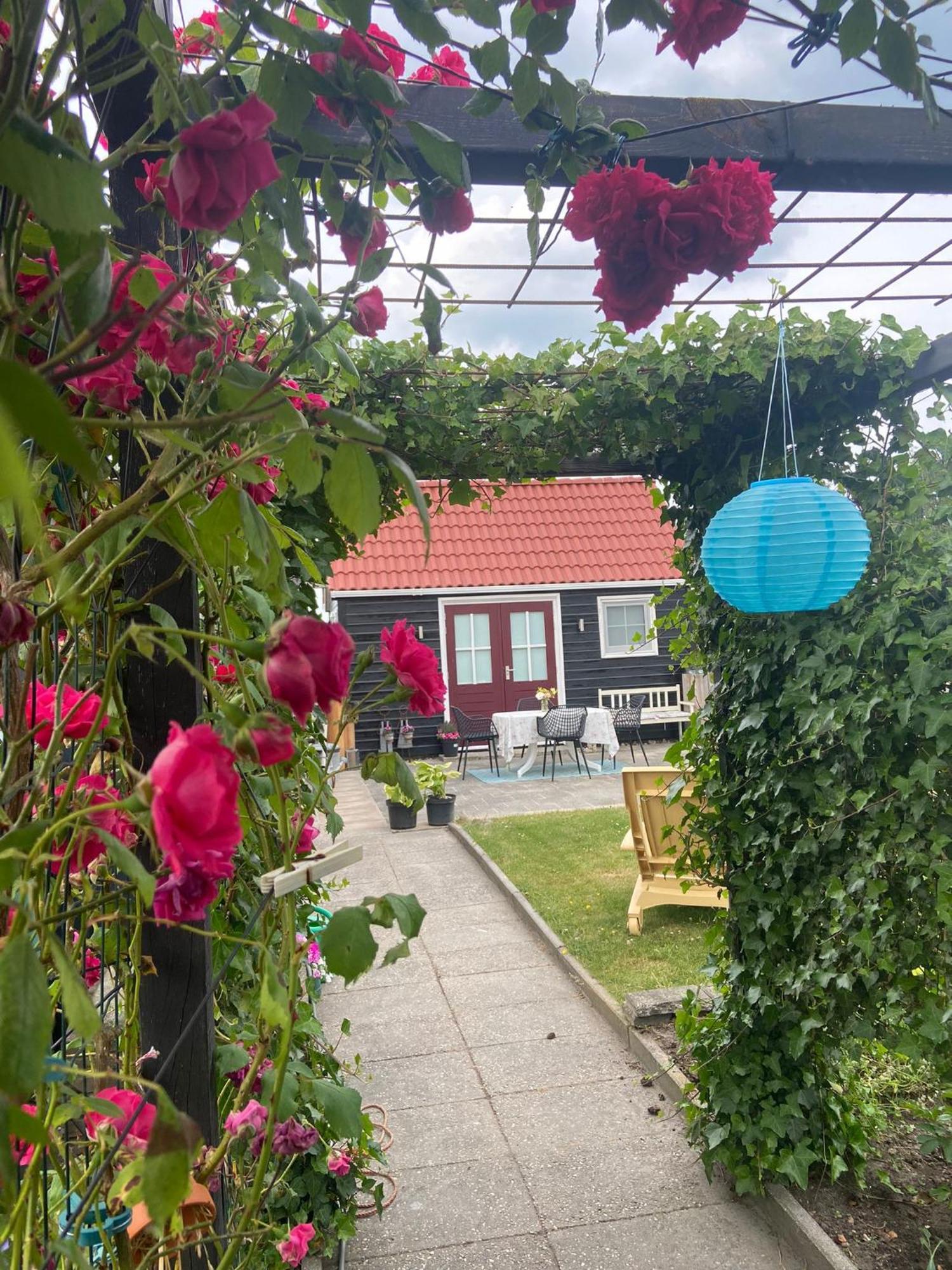 Bed En Brochje De Oase Bed & Breakfast Sweagerbosk ภายนอก รูปภาพ