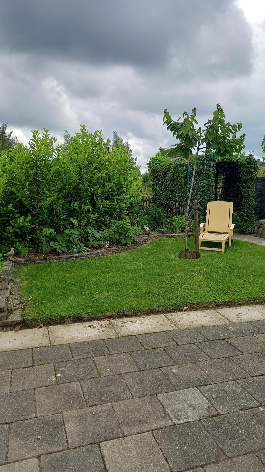 Bed En Brochje De Oase Bed & Breakfast Sweagerbosk ภายนอก รูปภาพ