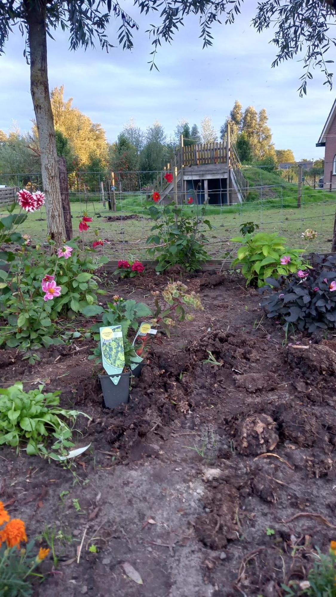 Bed En Brochje De Oase Bed & Breakfast Sweagerbosk ภายนอก รูปภาพ
